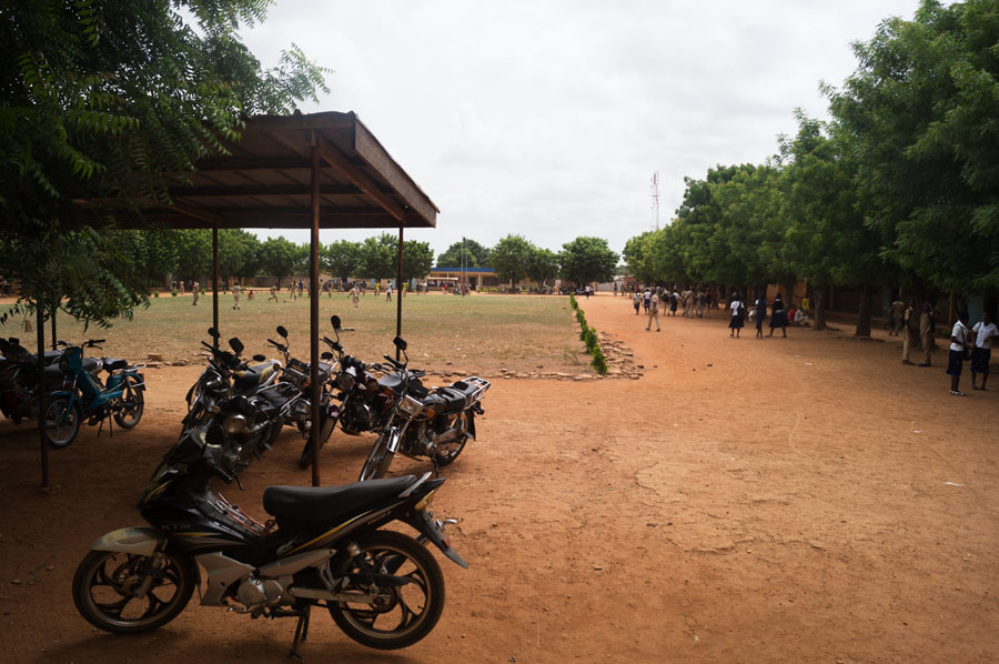 Copyright: Christine Luz