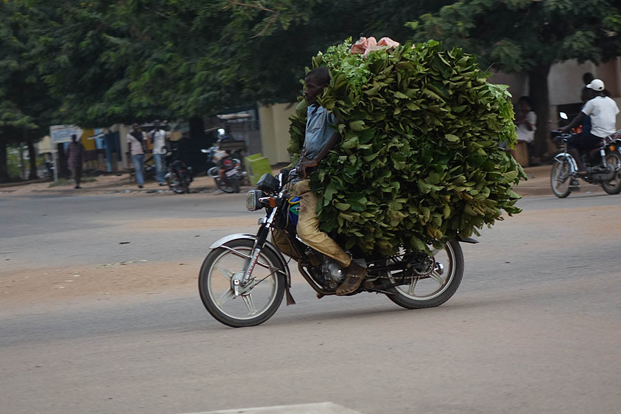 Copyright: Celina de Cuveland